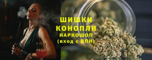 винт Баксан