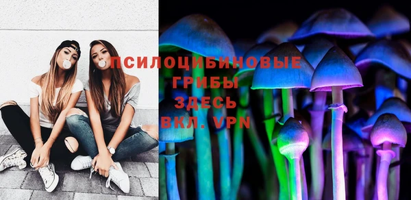 винт Баксан